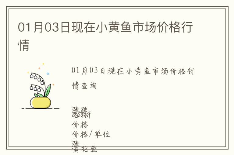 01月03日現在小黃魚市場價格行情