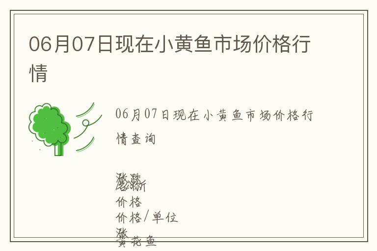 06月07日現(xiàn)在小黃魚市場(chǎng)價(jià)格行情