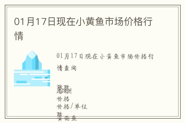 01月17日現在小黃魚市場價格行情