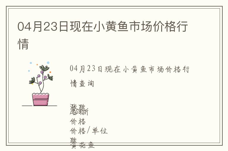 04月23日現(xiàn)在小黃魚市場價格行情