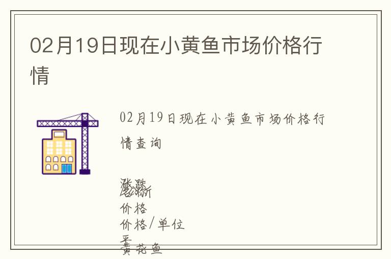 02月19日現在小黃魚市場價格行情