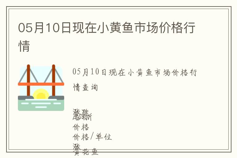 05月10日現在小黃魚市場價格行情