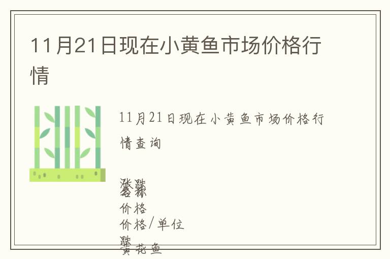 11月21日現在小黃魚市場價格行情