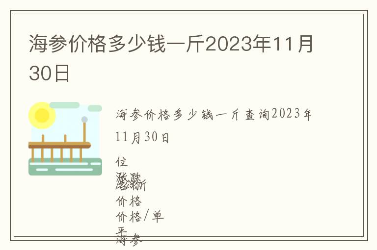 海參價格多少錢一斤2023年11月30日