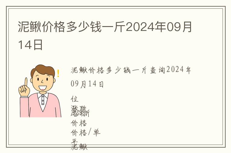 泥鰍價格多少錢一斤2024年09月14日
