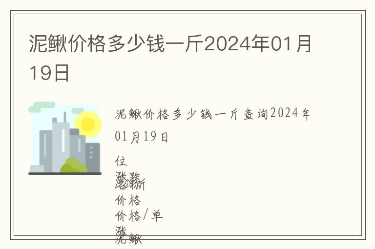 泥鰍價格多少錢一斤2024年01月19日