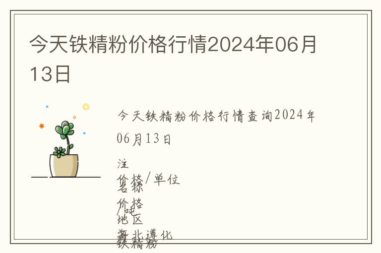 今天鐵精粉價格行情2024年06月13日