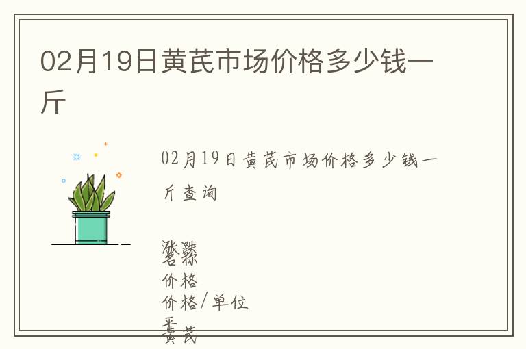 02月19日黃芪市場價格多少錢一斤