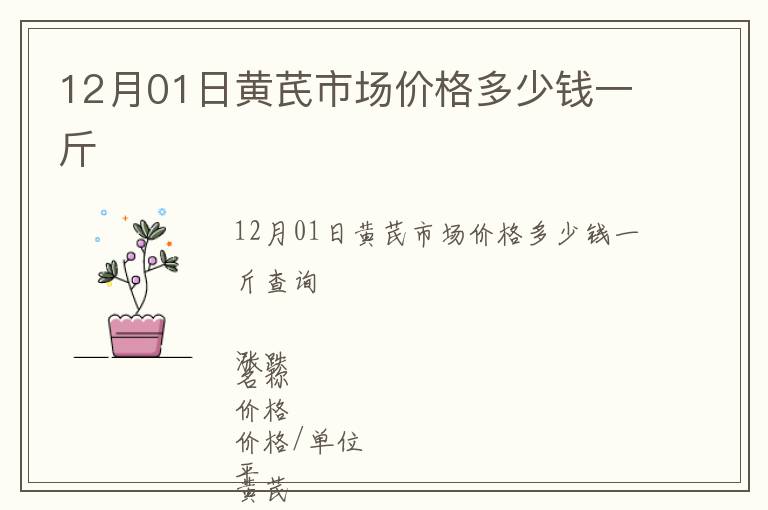 12月01日黃芪市場價格多少錢一斤