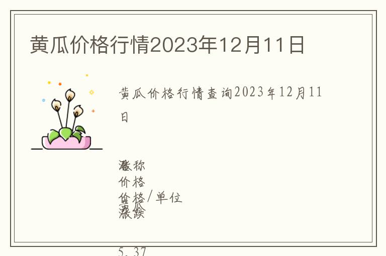 黃瓜價(jià)格行情2023年12月11日