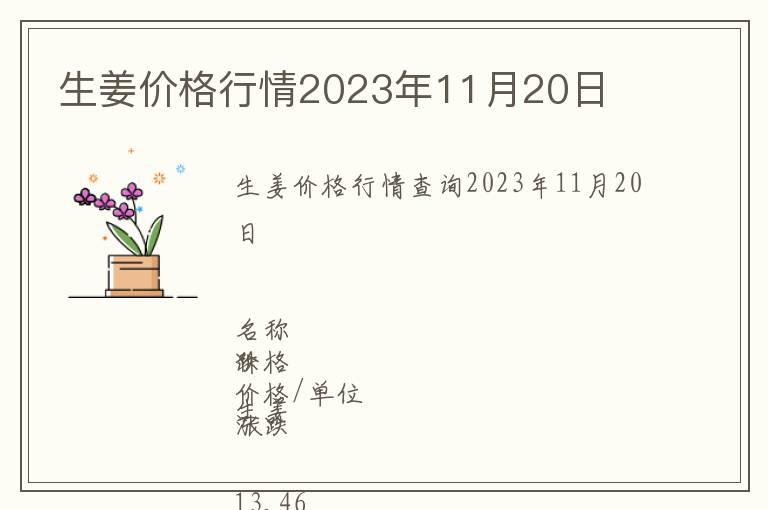 生姜價(jià)格行情2023年11月20日